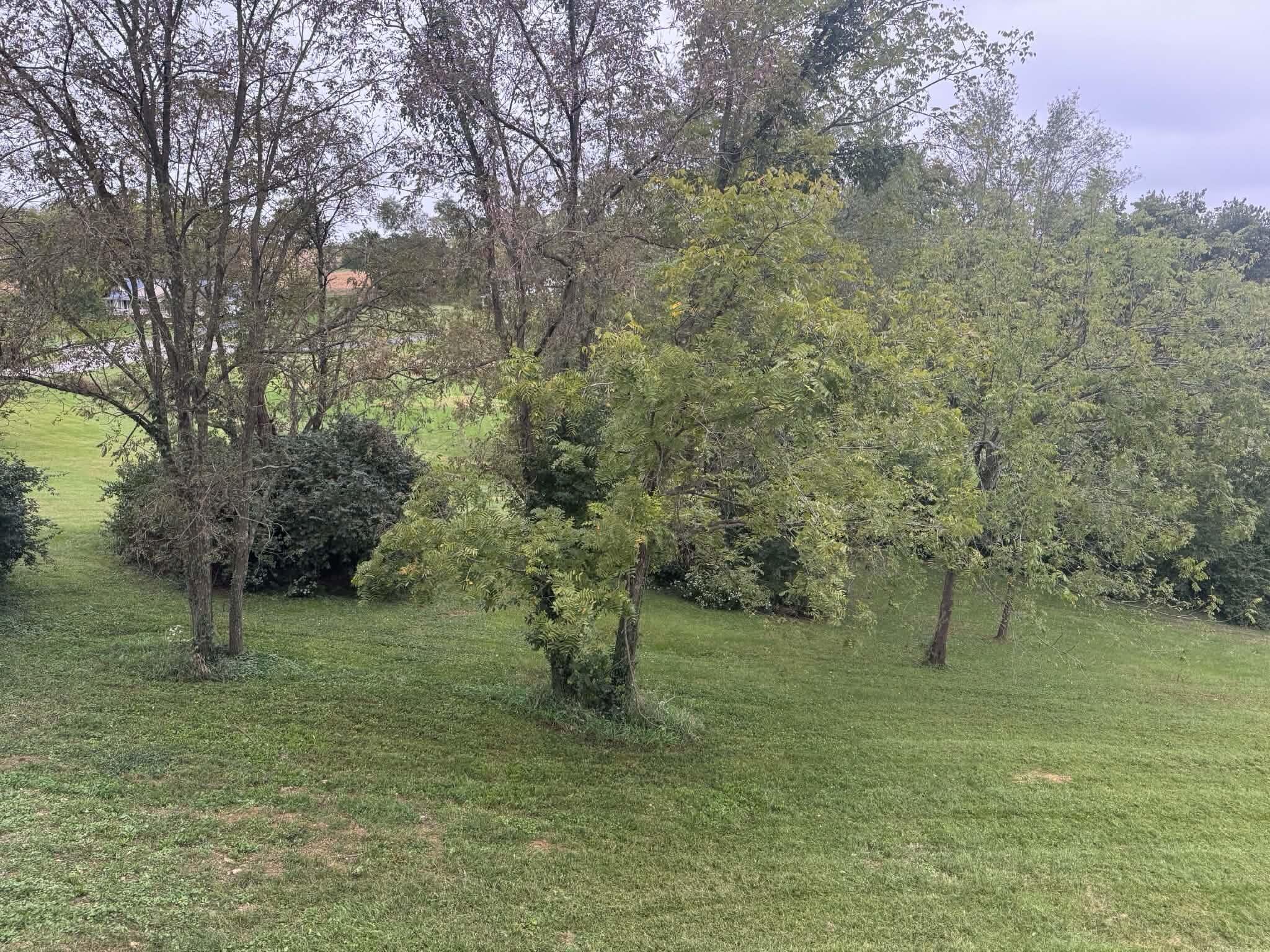 214 Brookhill Drive Property Photo 48
