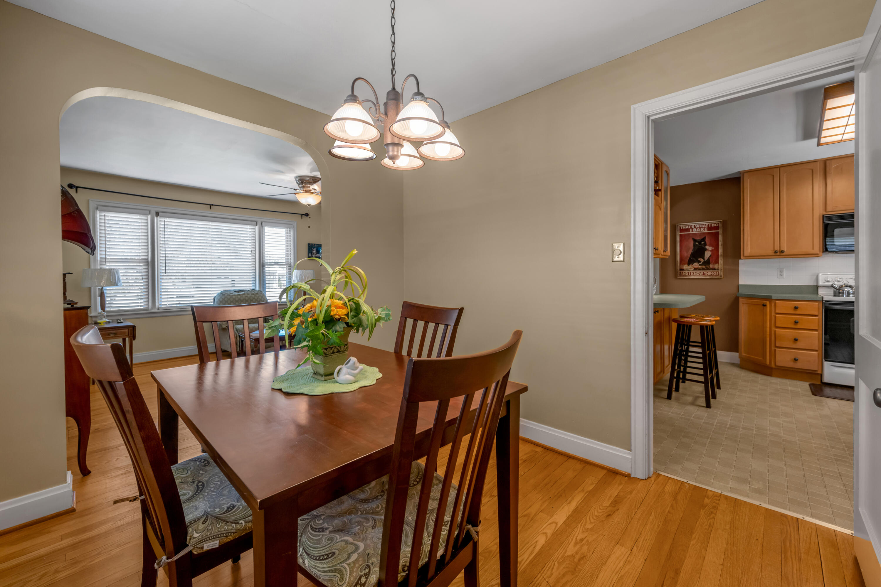 568 Mitchell Avenue Property Photo 12