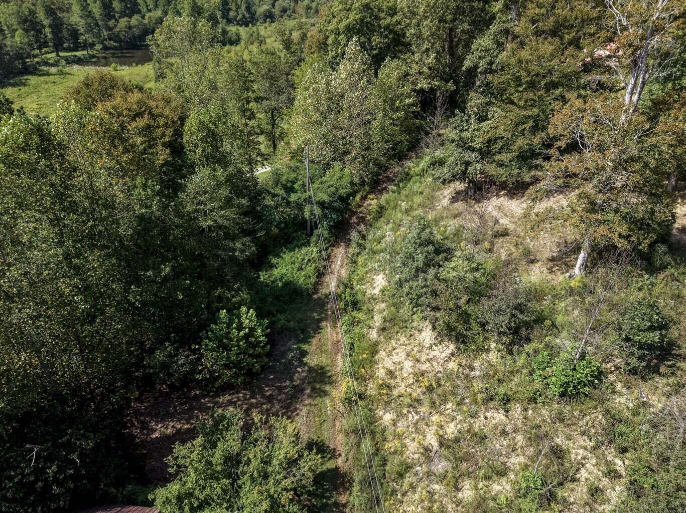 439 Elishas Creek Road Property Photo 57
