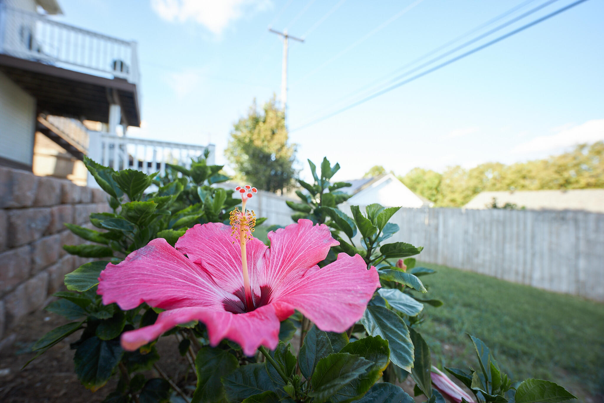 801 Woodspointe Way Property Photo 28