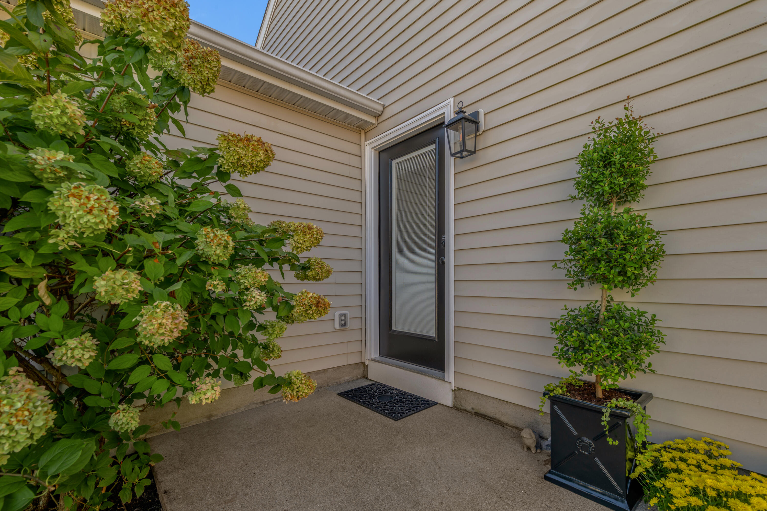 1037 Lemon Rue Way Property Photo 25