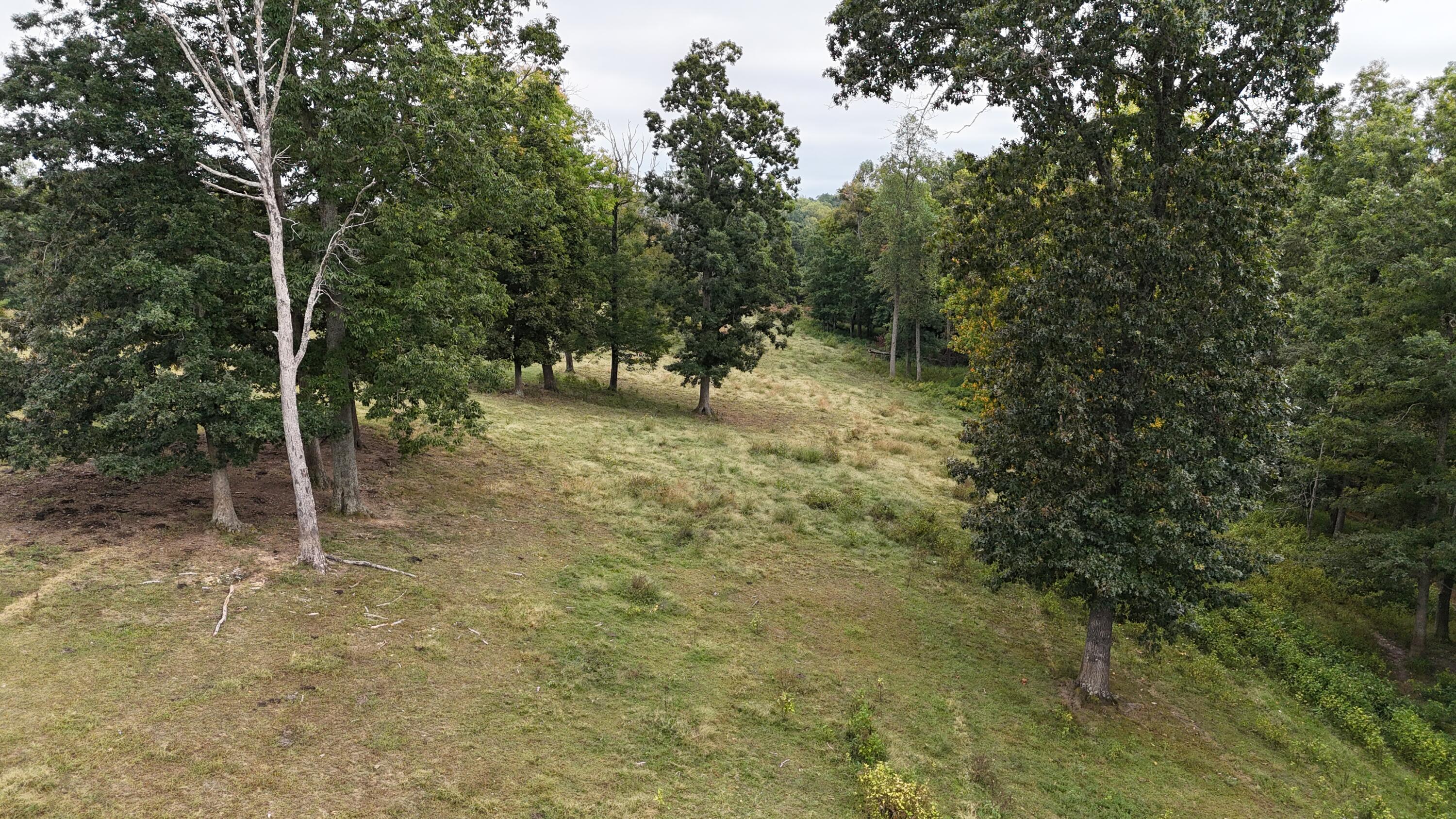 999 Chestnut Grove Road Property Photo 1