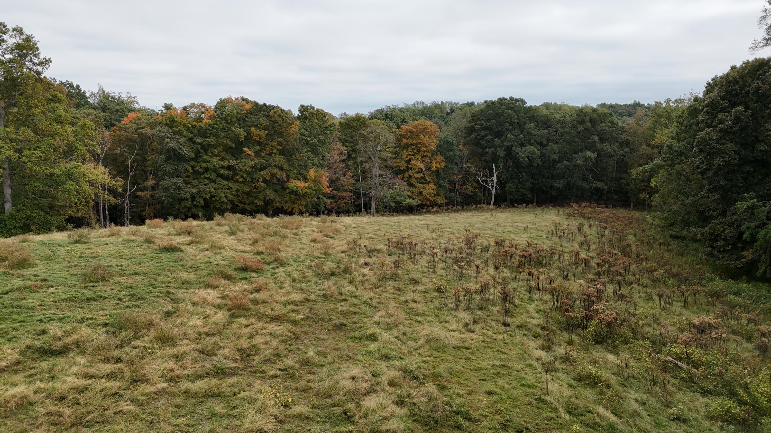 999 Chestnut Grove Road Property Photo 3