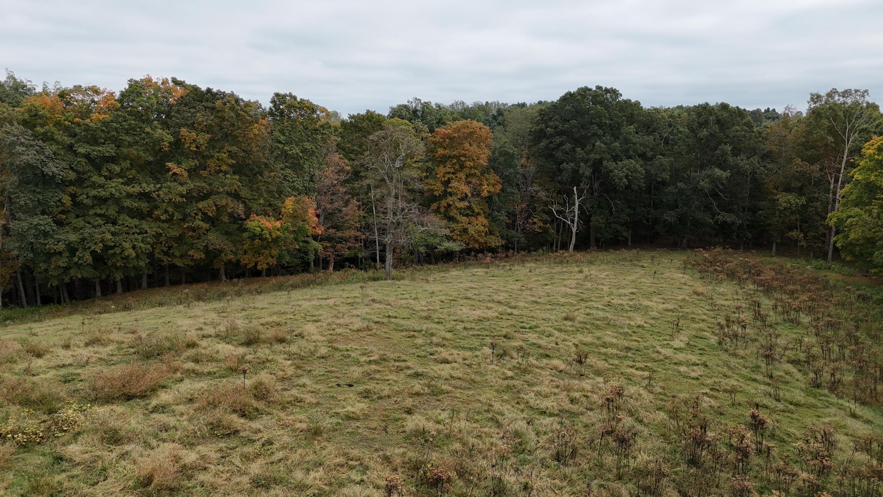 999 Chestnut Grove Road Property Photo 4