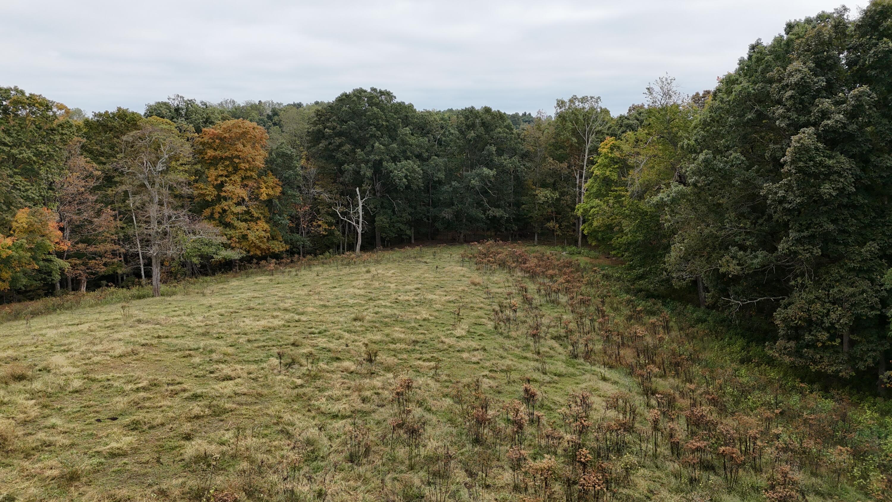 999 Chestnut Grove Road Property Photo 5