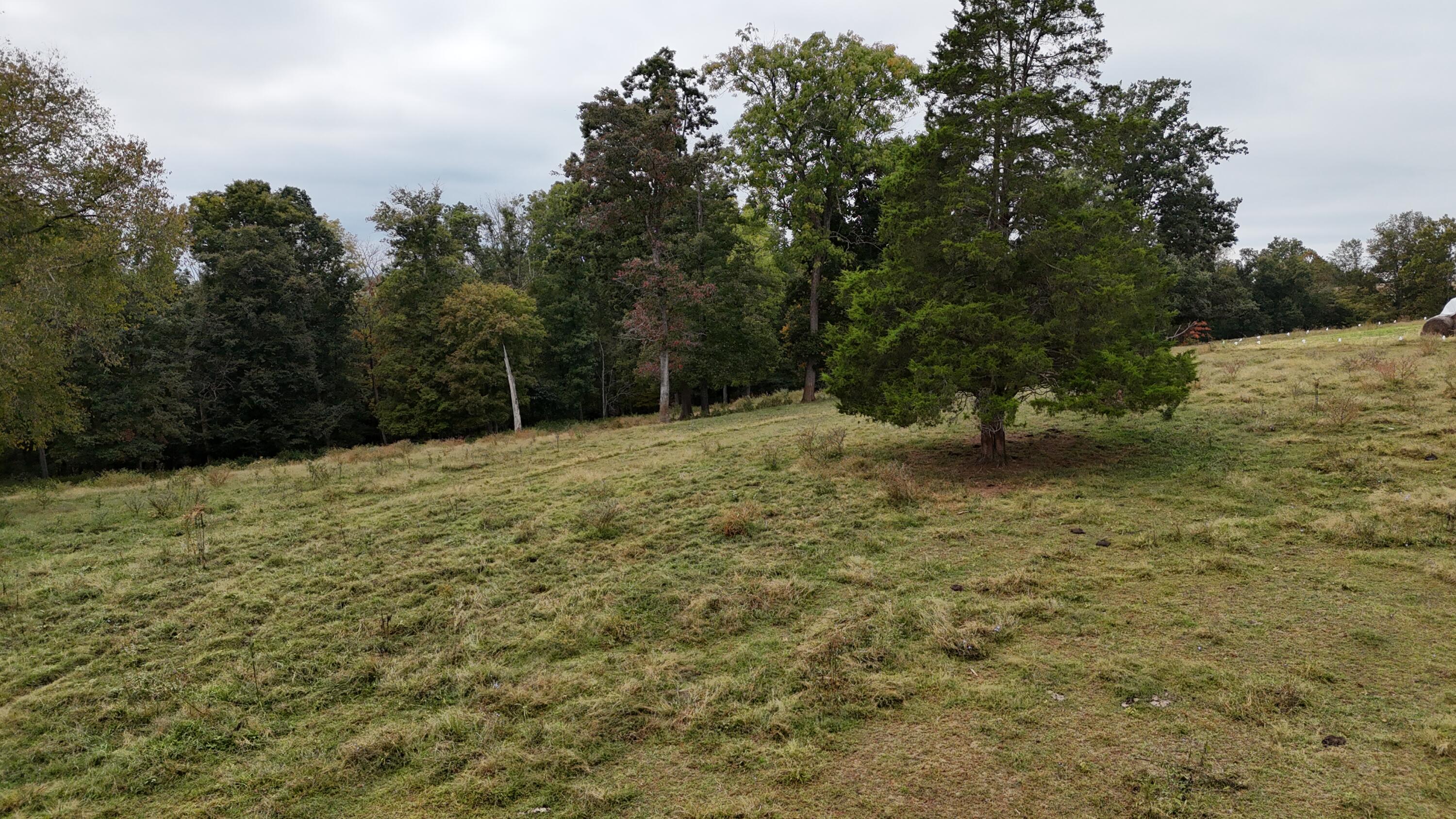 999 Chestnut Grove Road Property Photo 8