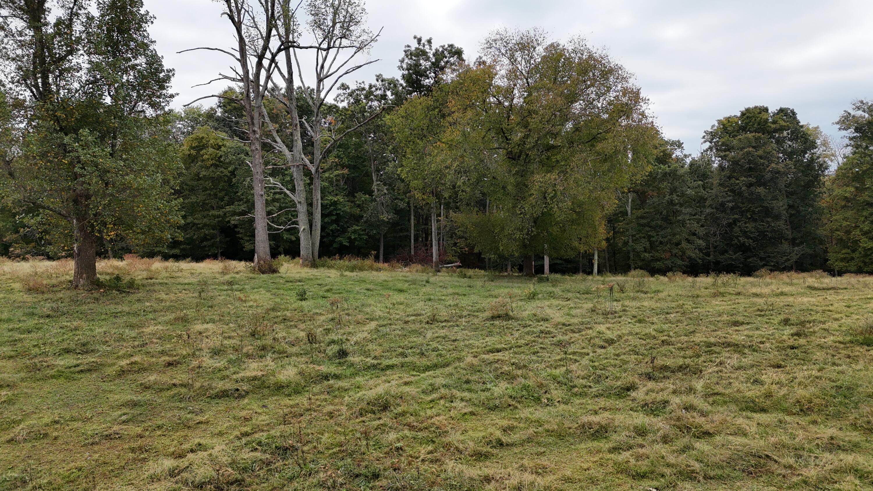 999 Chestnut Grove Road Property Photo 10