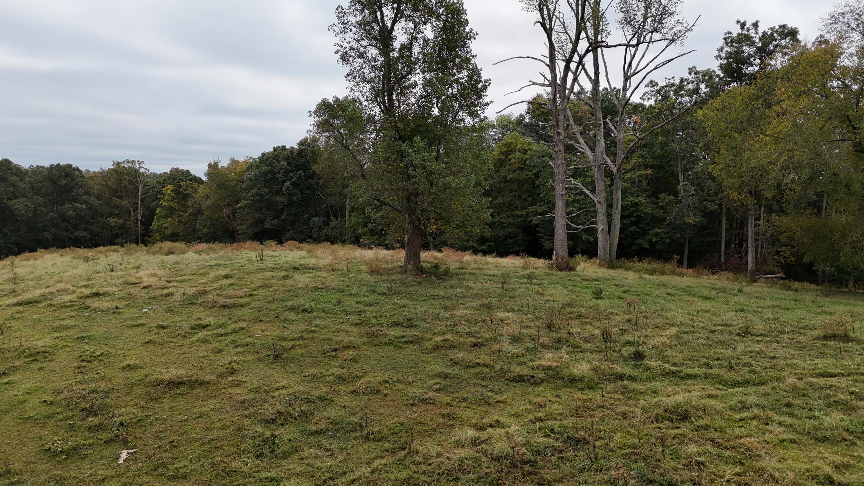 999 Chestnut Grove Road Property Photo 11