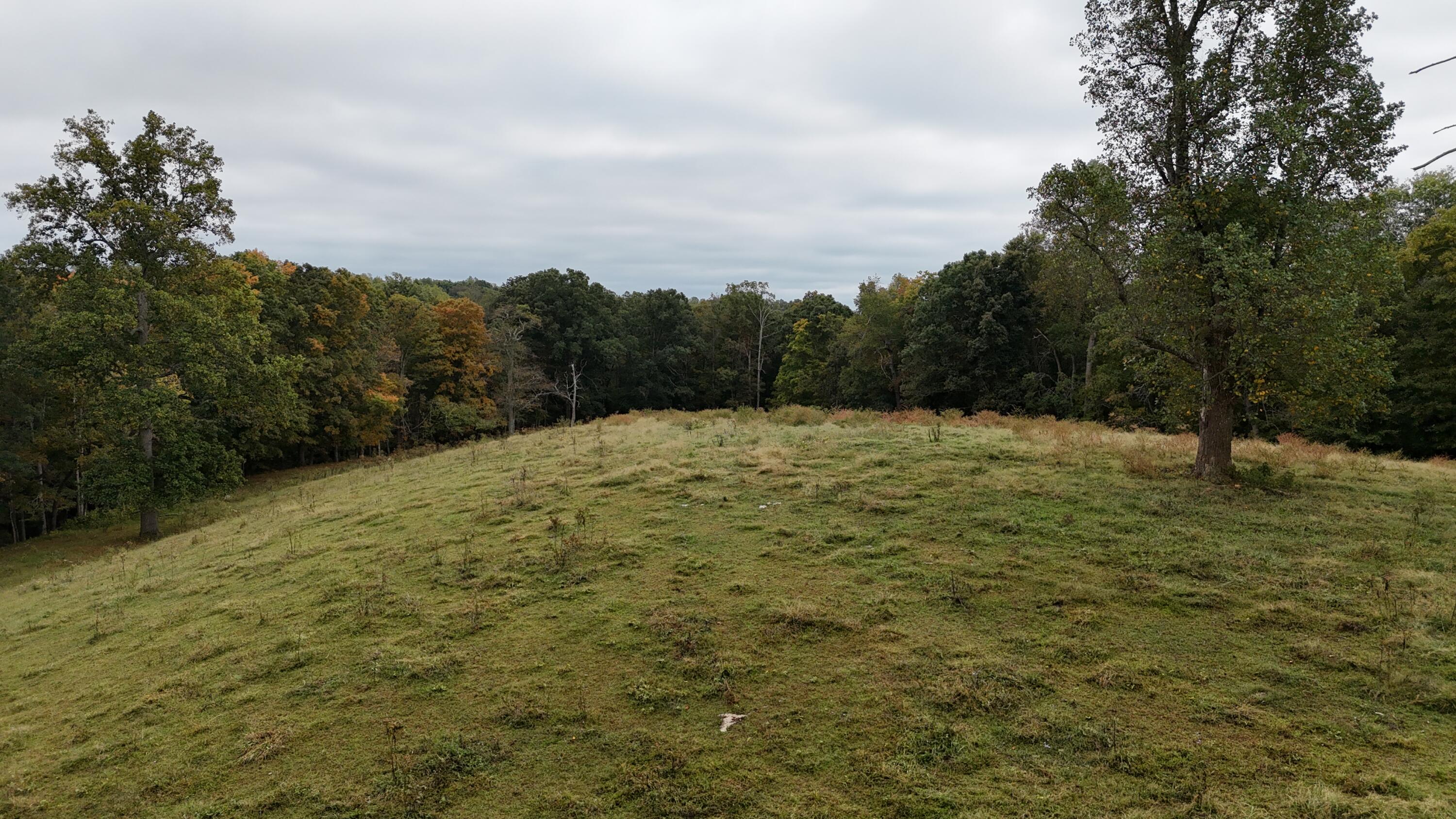 999 Chestnut Grove Road Property Photo 13