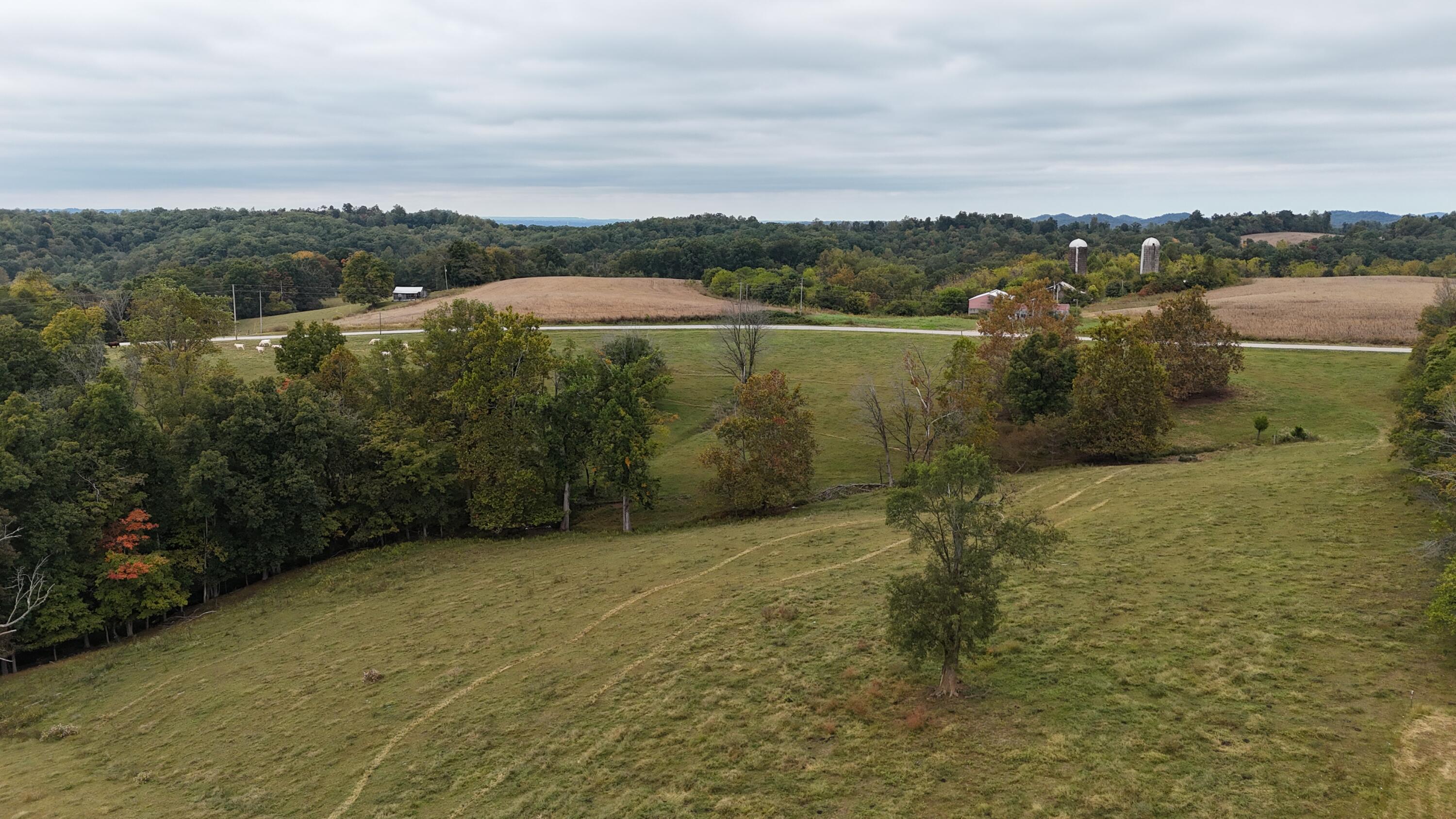 999 Chestnut Grove Road Property Photo 14
