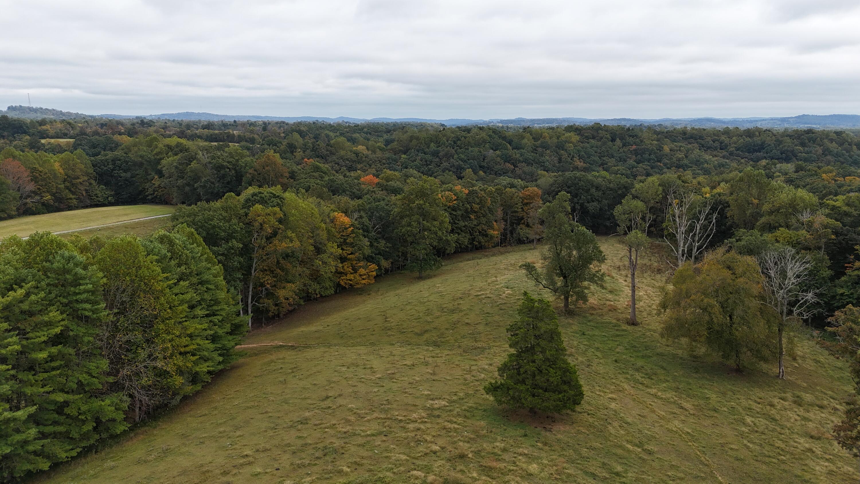 999 Chestnut Grove Road Property Photo 15