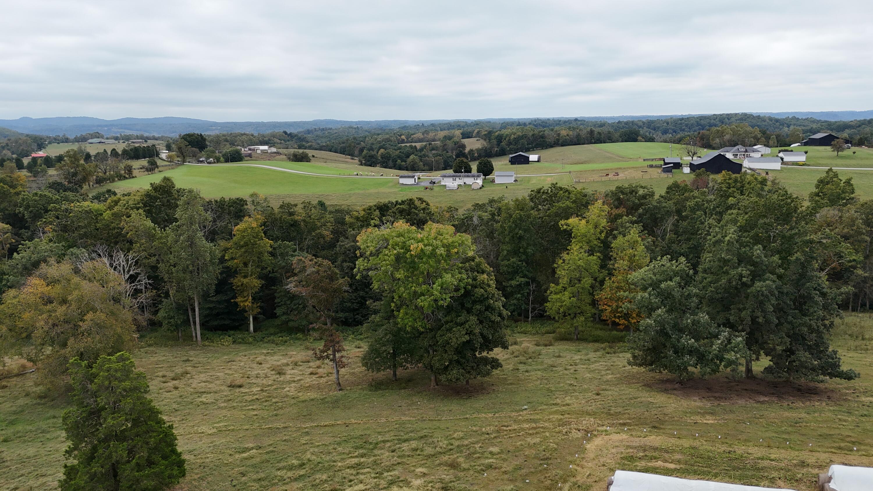 999 Chestnut Grove Road Property Photo 17