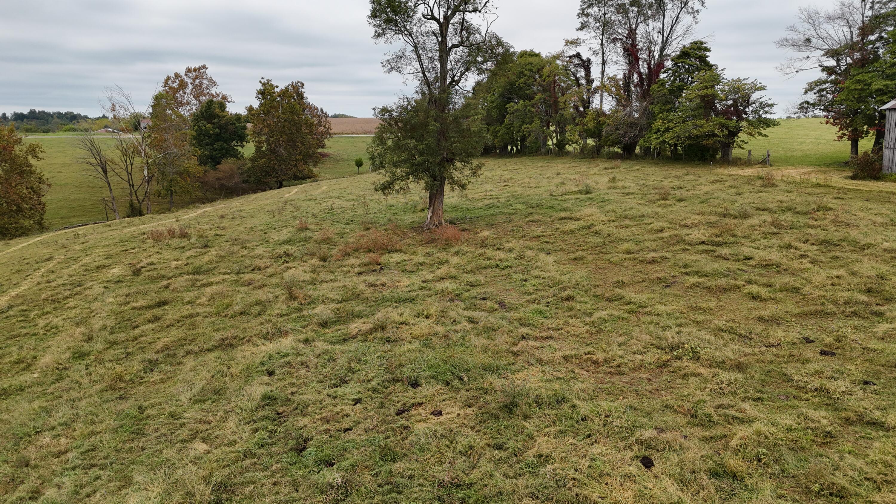 999 Chestnut Grove Road Property Photo 19