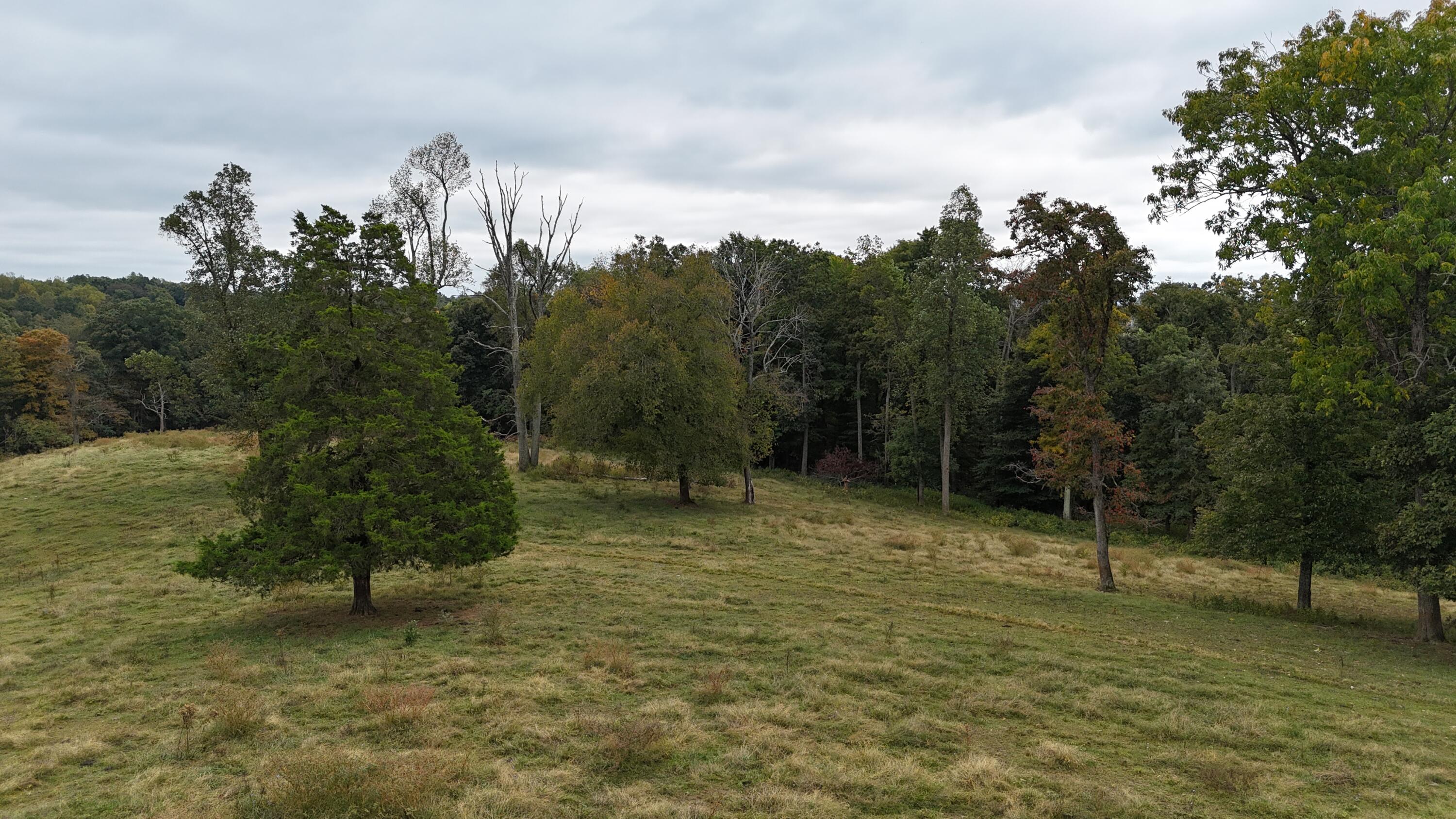999 Chestnut Grove Road Property Photo 29