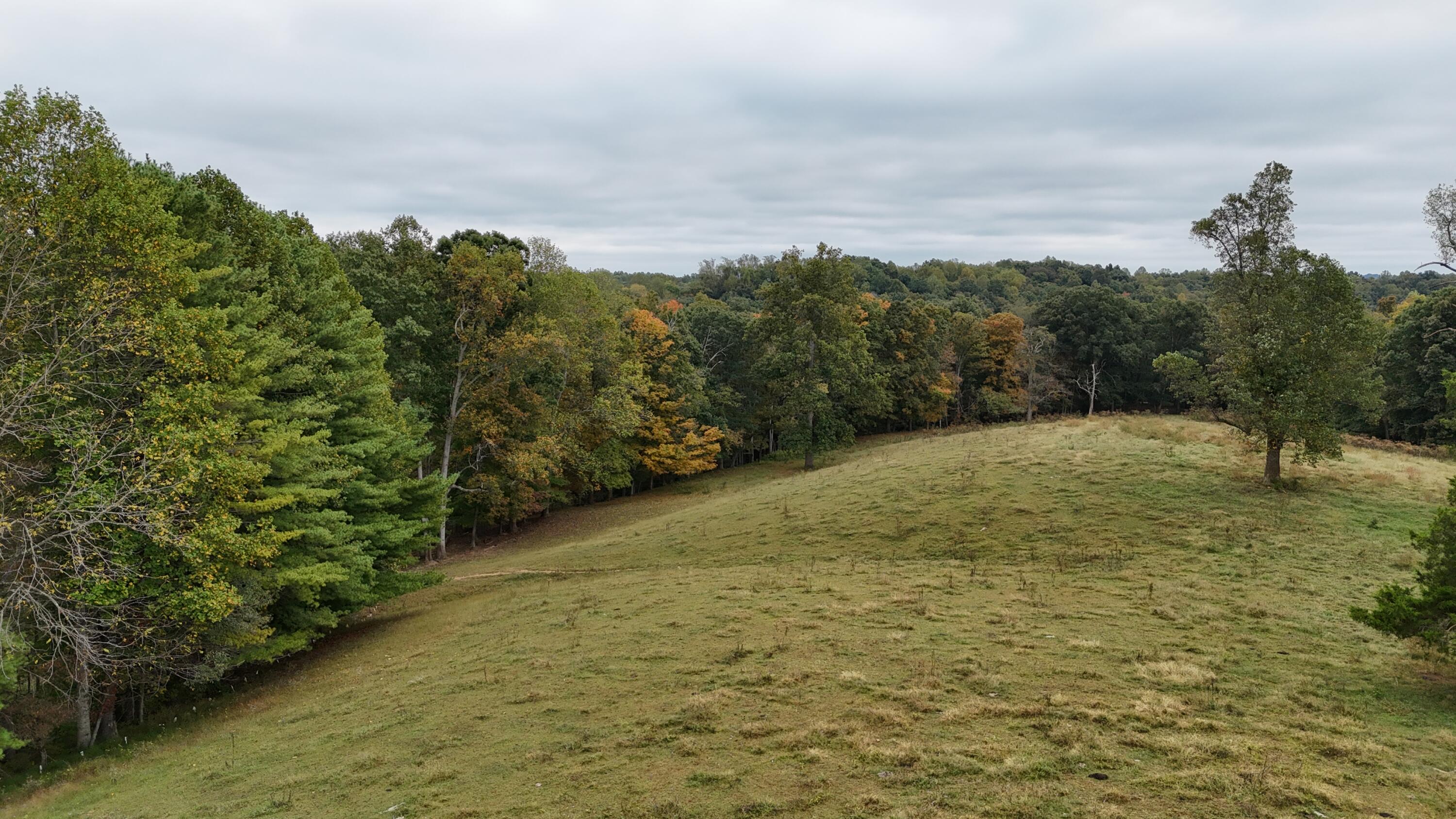 999 Chestnut Grove Road Property Photo 31
