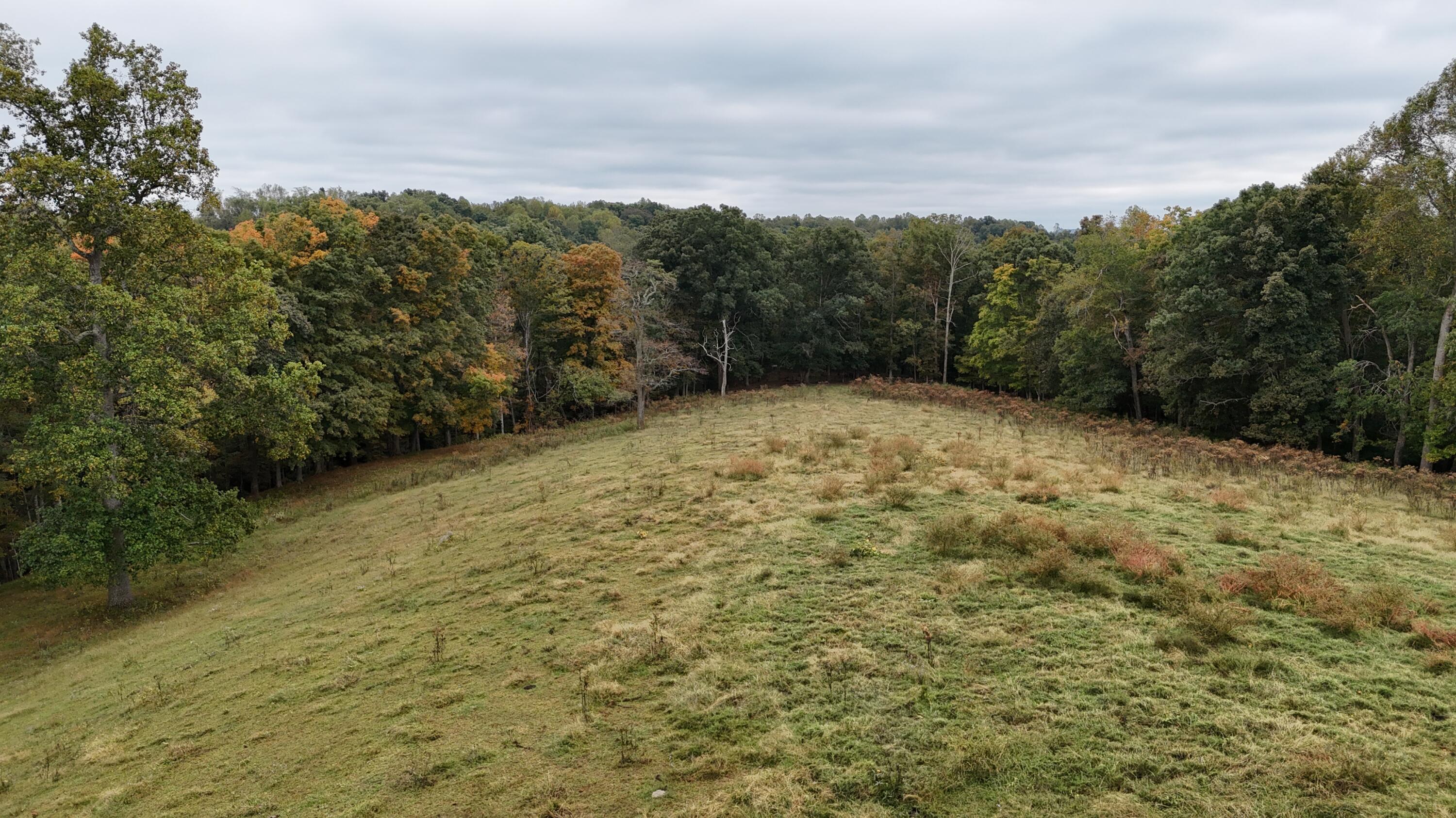 999 Chestnut Grove Road Property Photo 33