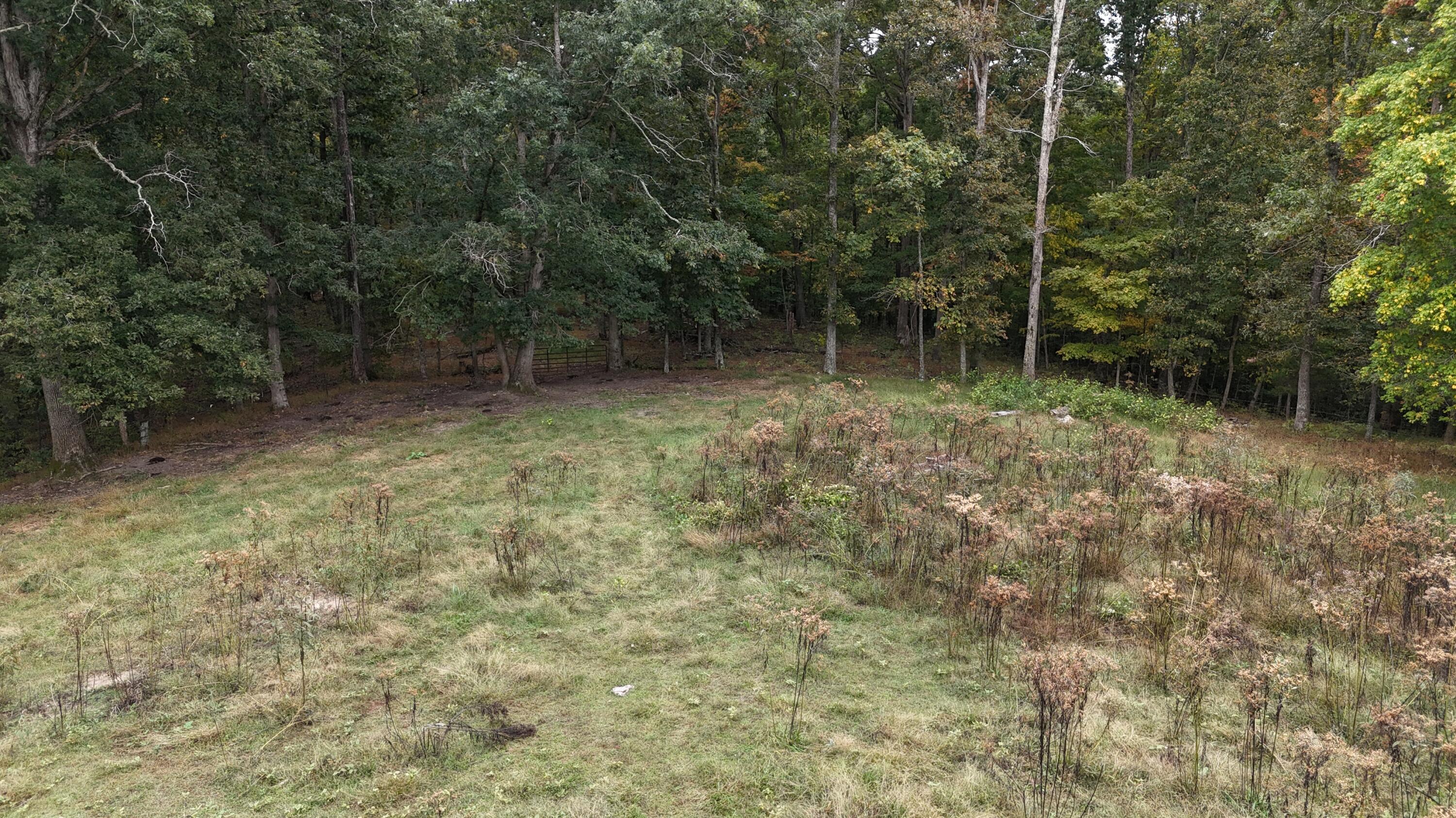 999 Chestnut Grove Road Property Photo 37