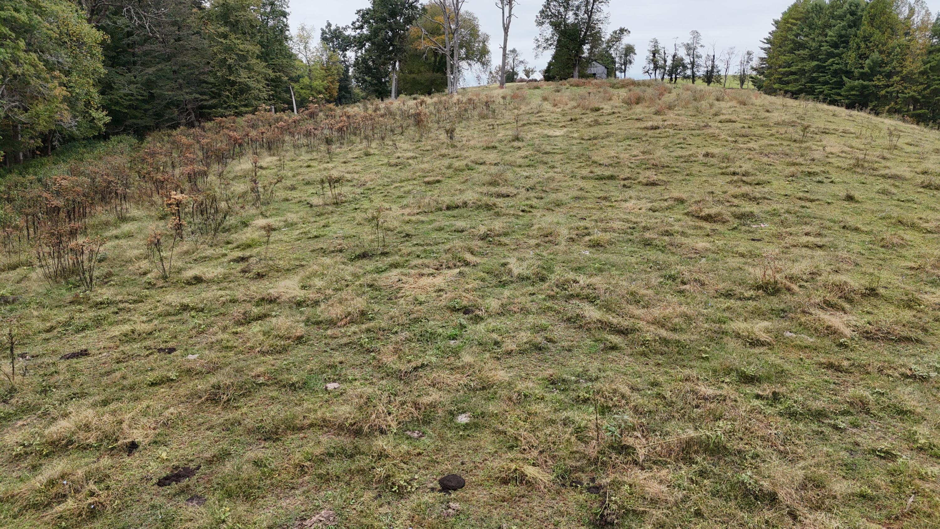 999 Chestnut Grove Road Property Photo 38