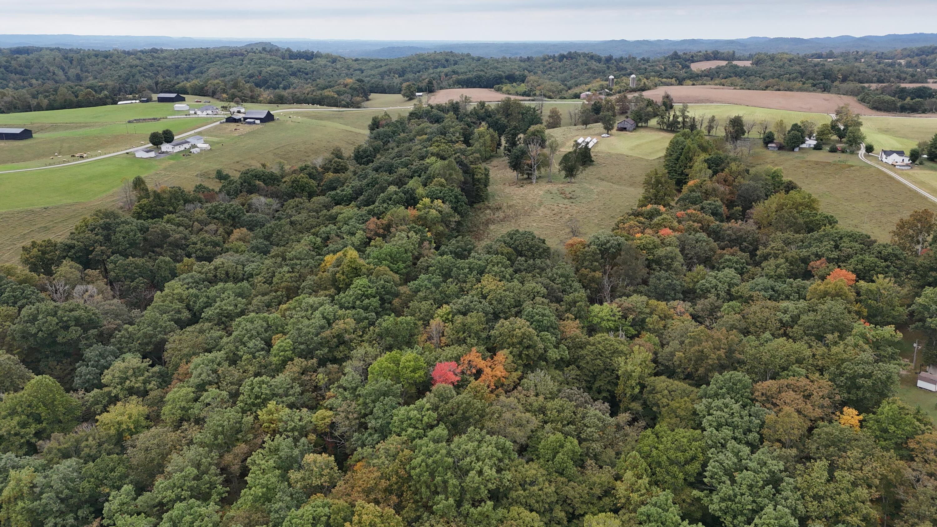 999 Chestnut Grove Road Property Photo 43