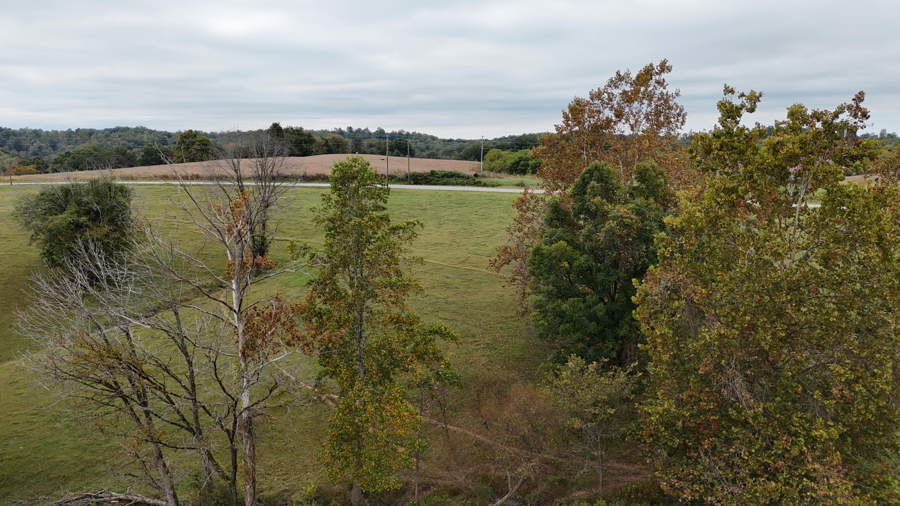 999 Chestnut Grove Road Property Photo 50