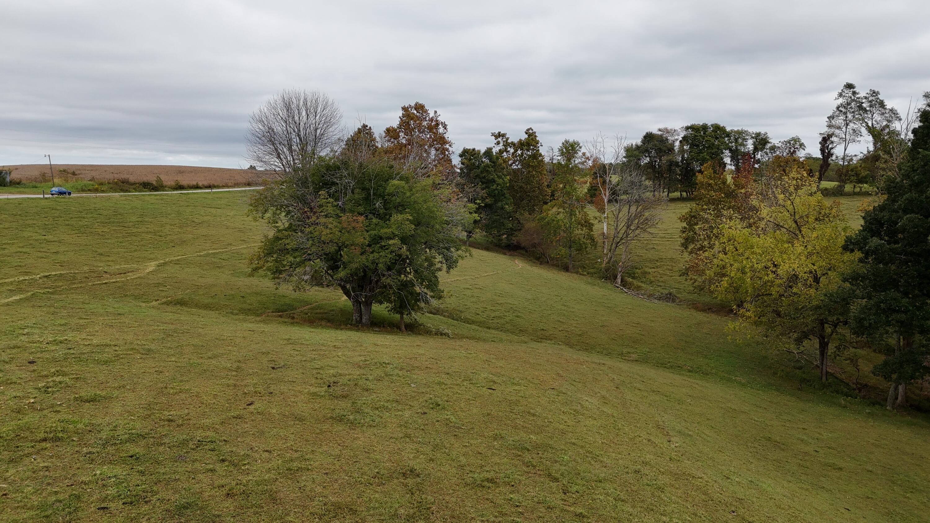 999 Chestnut Grove Road Property Photo 61