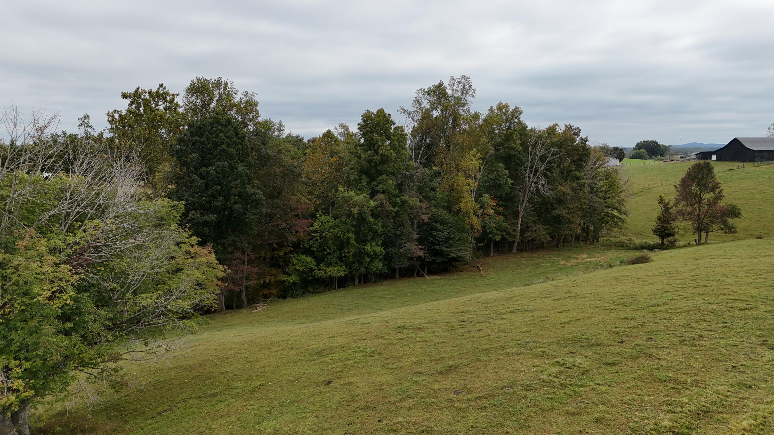 999 Chestnut Grove Road Property Photo 65