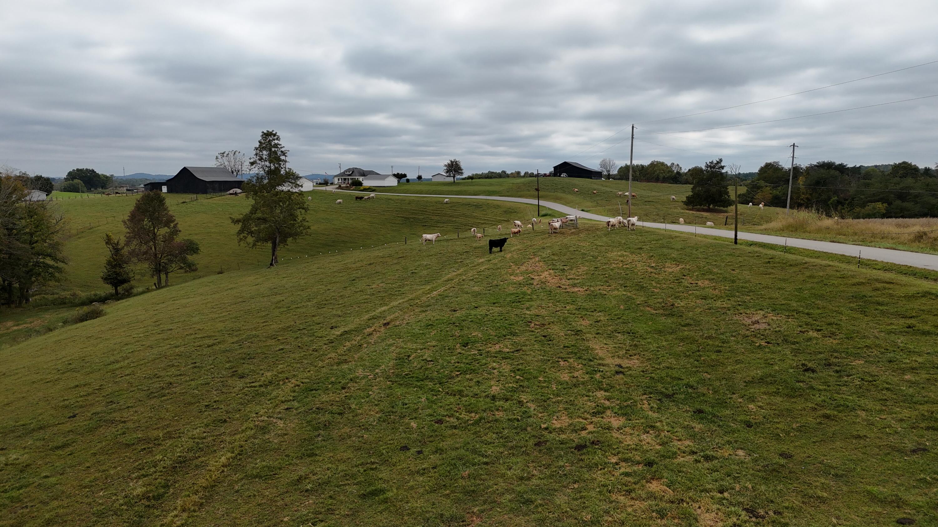 999 Chestnut Grove Road Property Photo 66