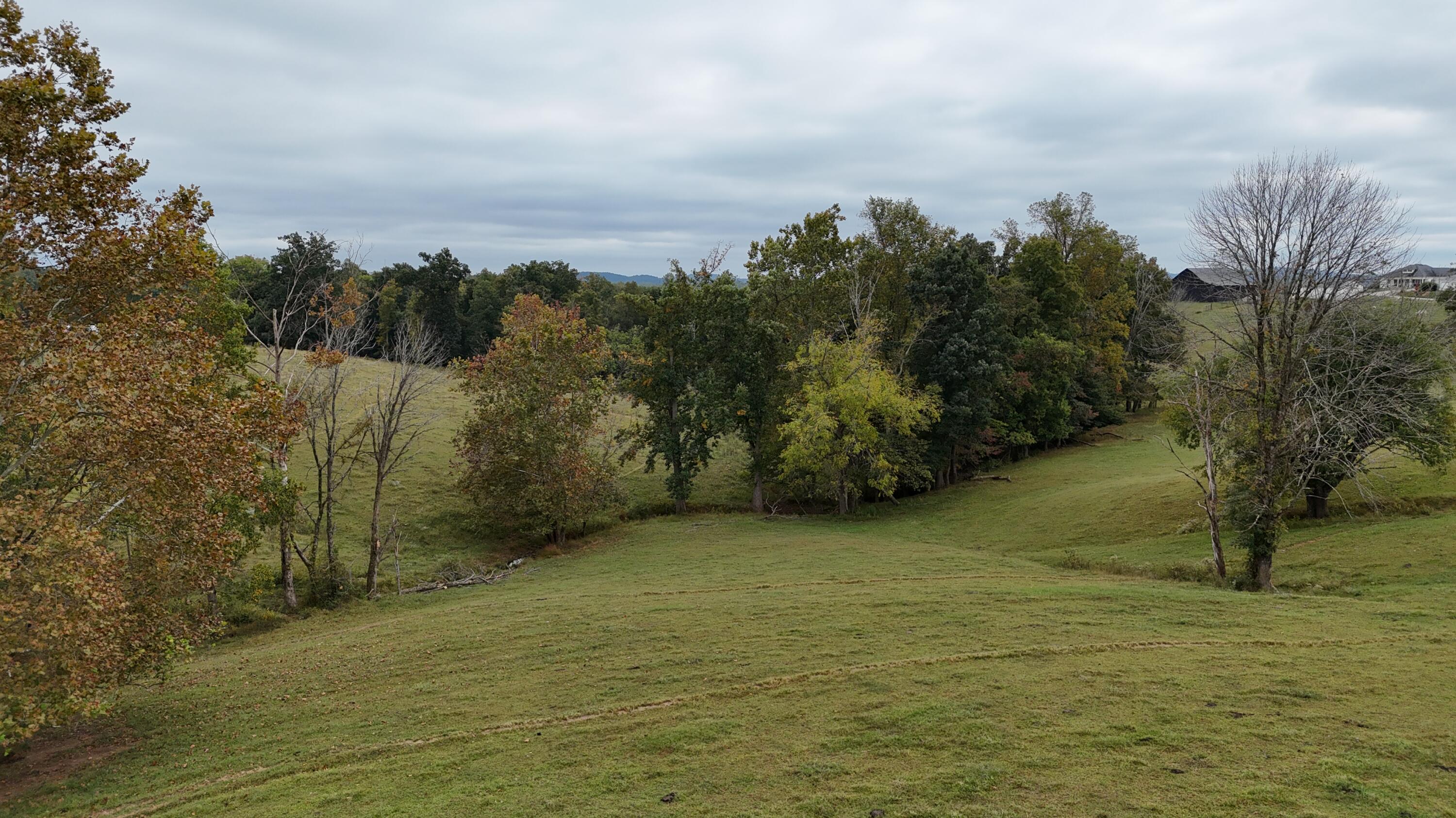 999 Chestnut Grove Road Property Photo 67