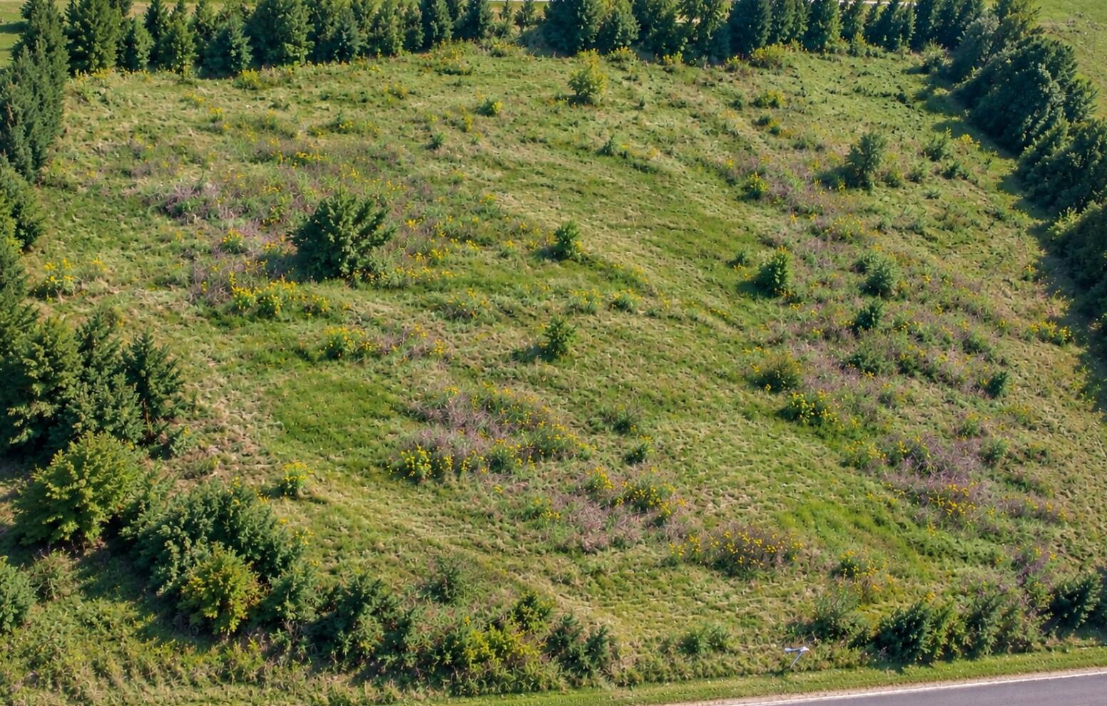 Lot 13 Blazer Heights Property Photo 3