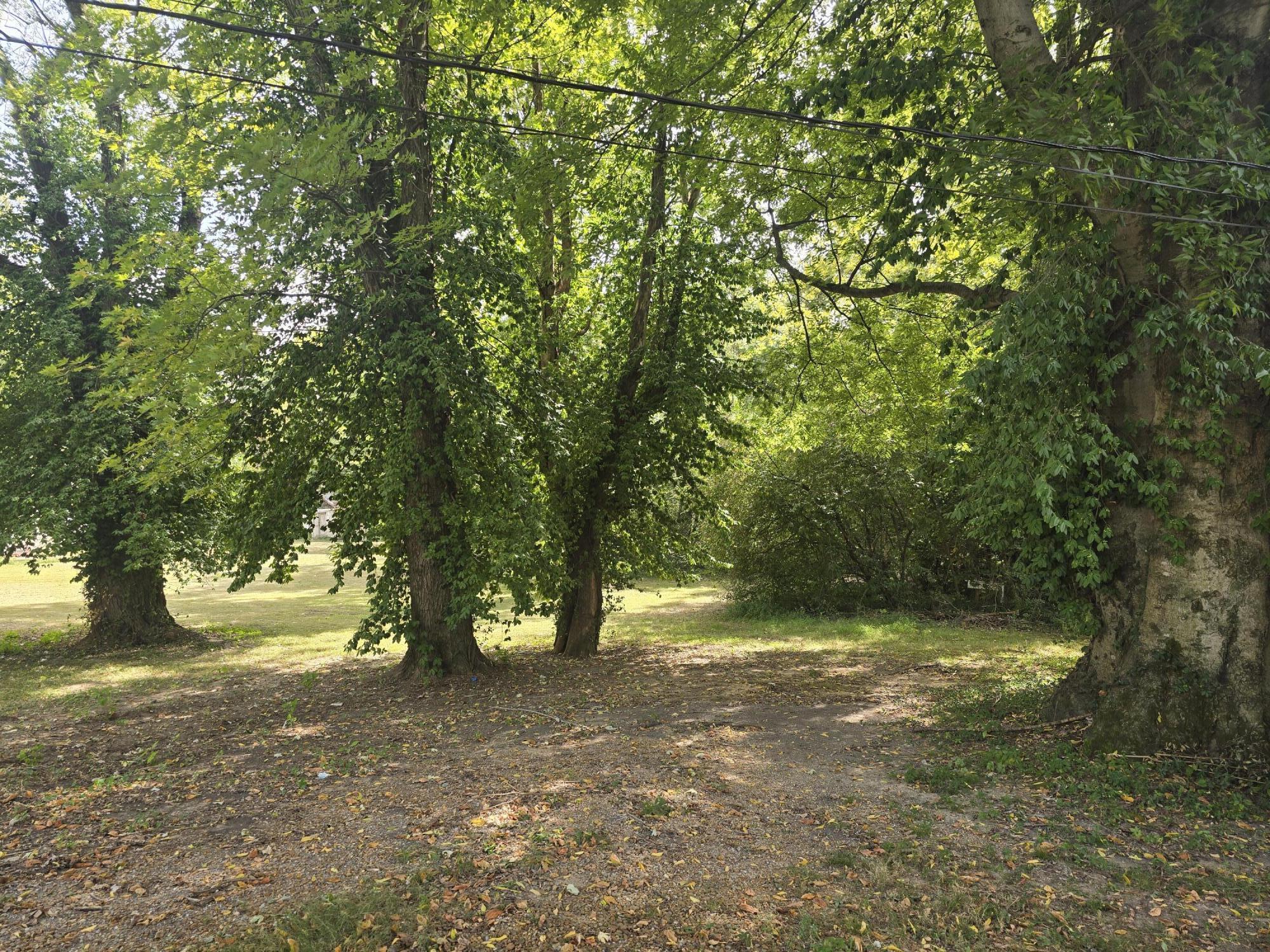 515 Columbus Street Property Photo 2