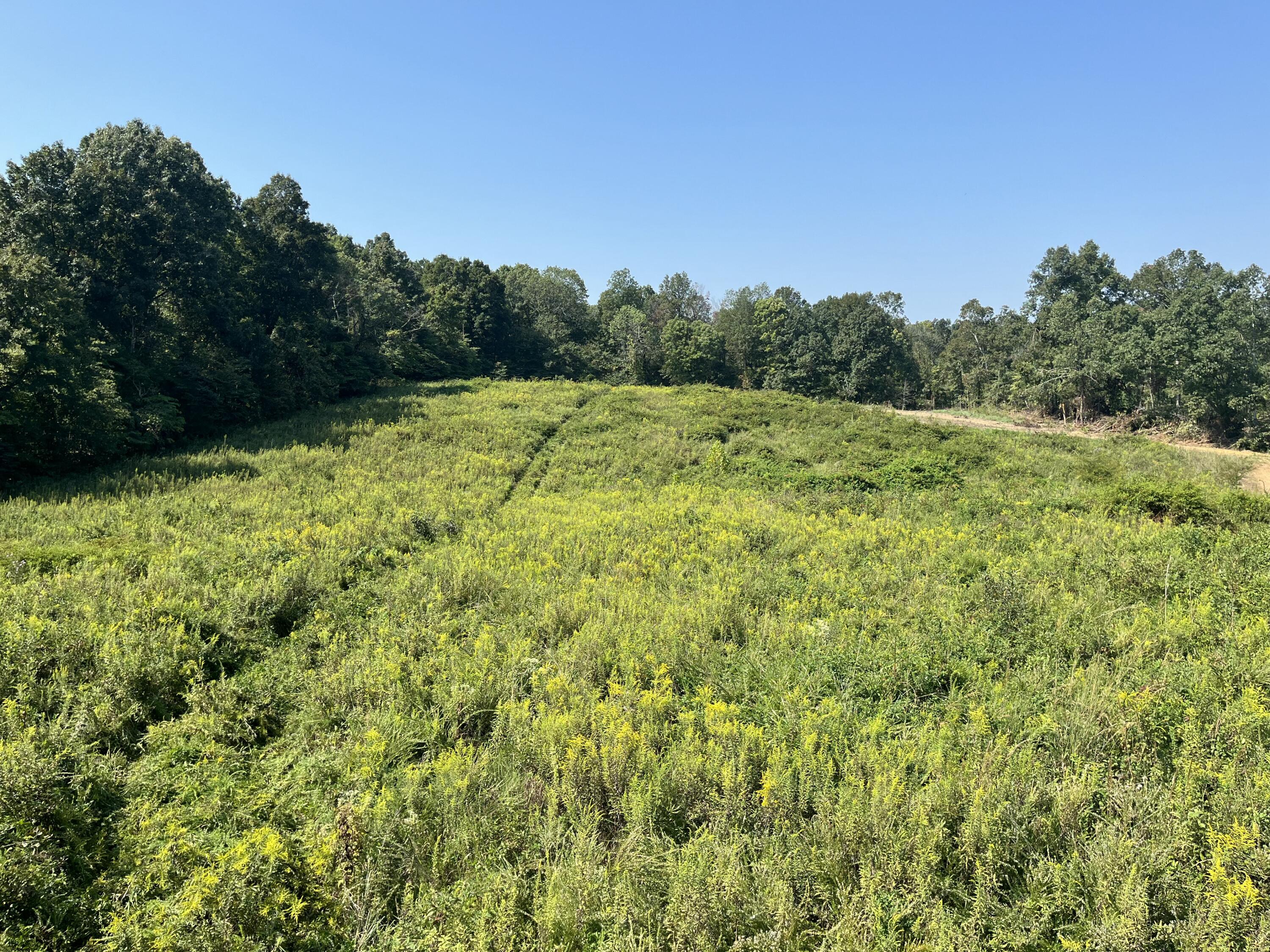 0 Princeton Olney Road Property Photo 1