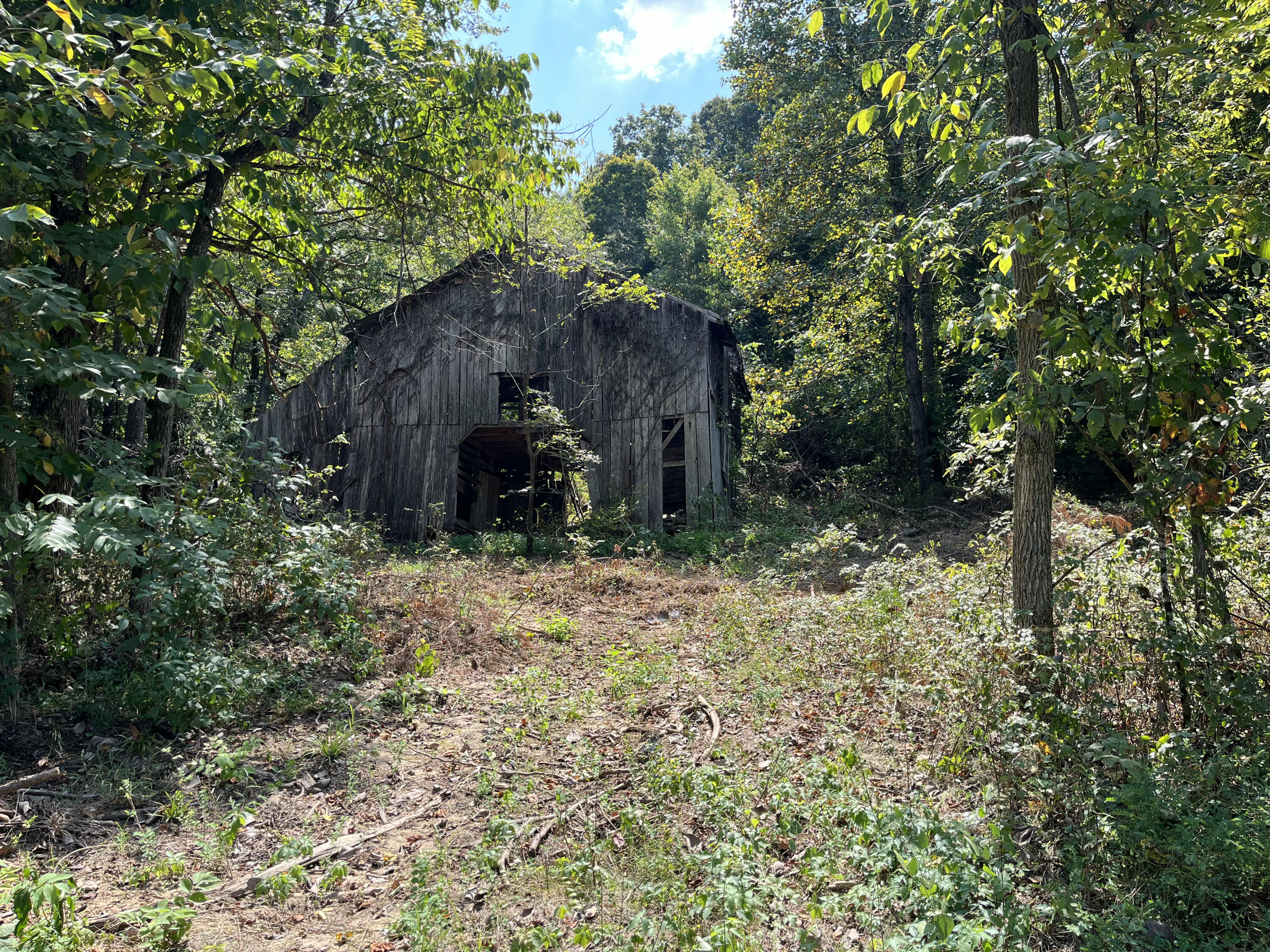 0 Princeton Olney Road Property Photo 3
