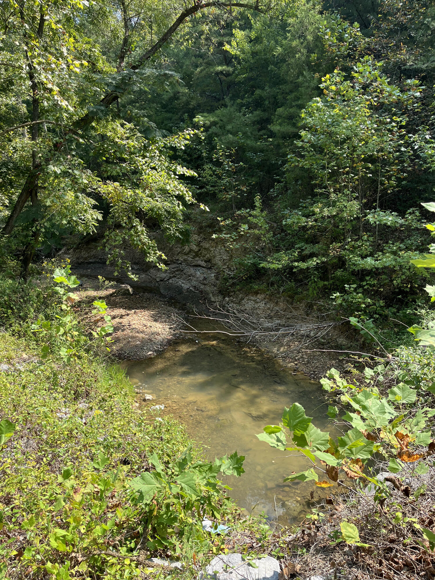 0 Princeton Olney Road Property Photo 4