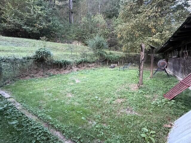 387 Coleman Branch Property Photo 2