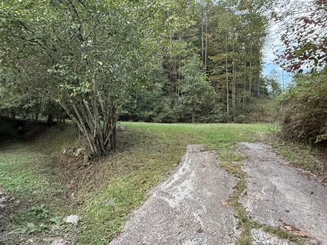 387 Coleman Branch Property Photo 8