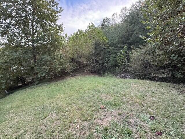 387 Coleman Branch Property Photo 10