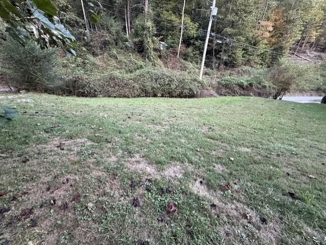 387 Coleman Branch Property Photo 12