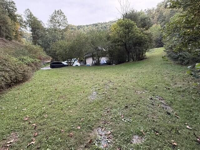 387 Coleman Branch Property Photo 13