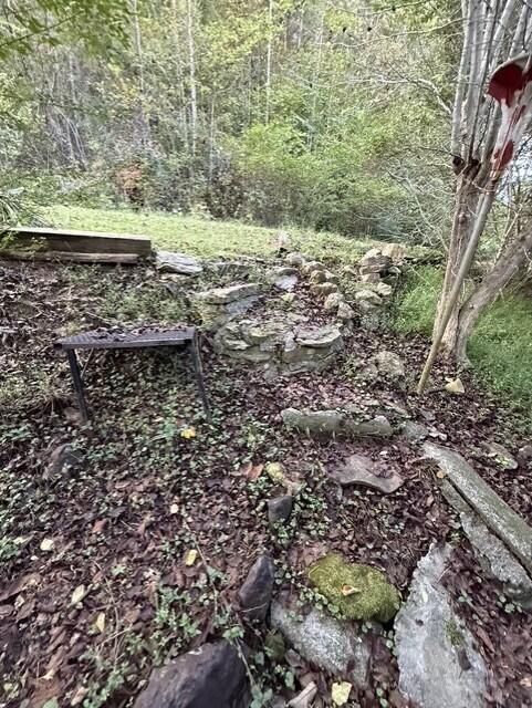 387 Coleman Branch Property Photo 14