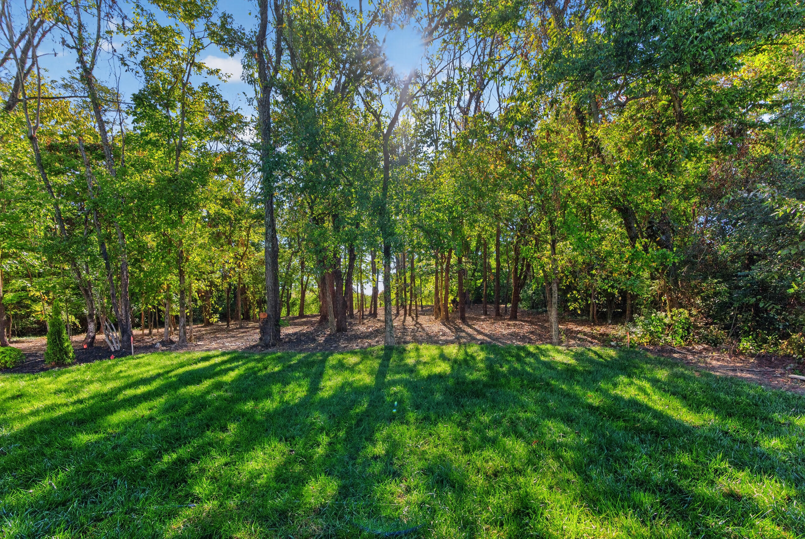 4249 Buttermilk Road Property Photo 46