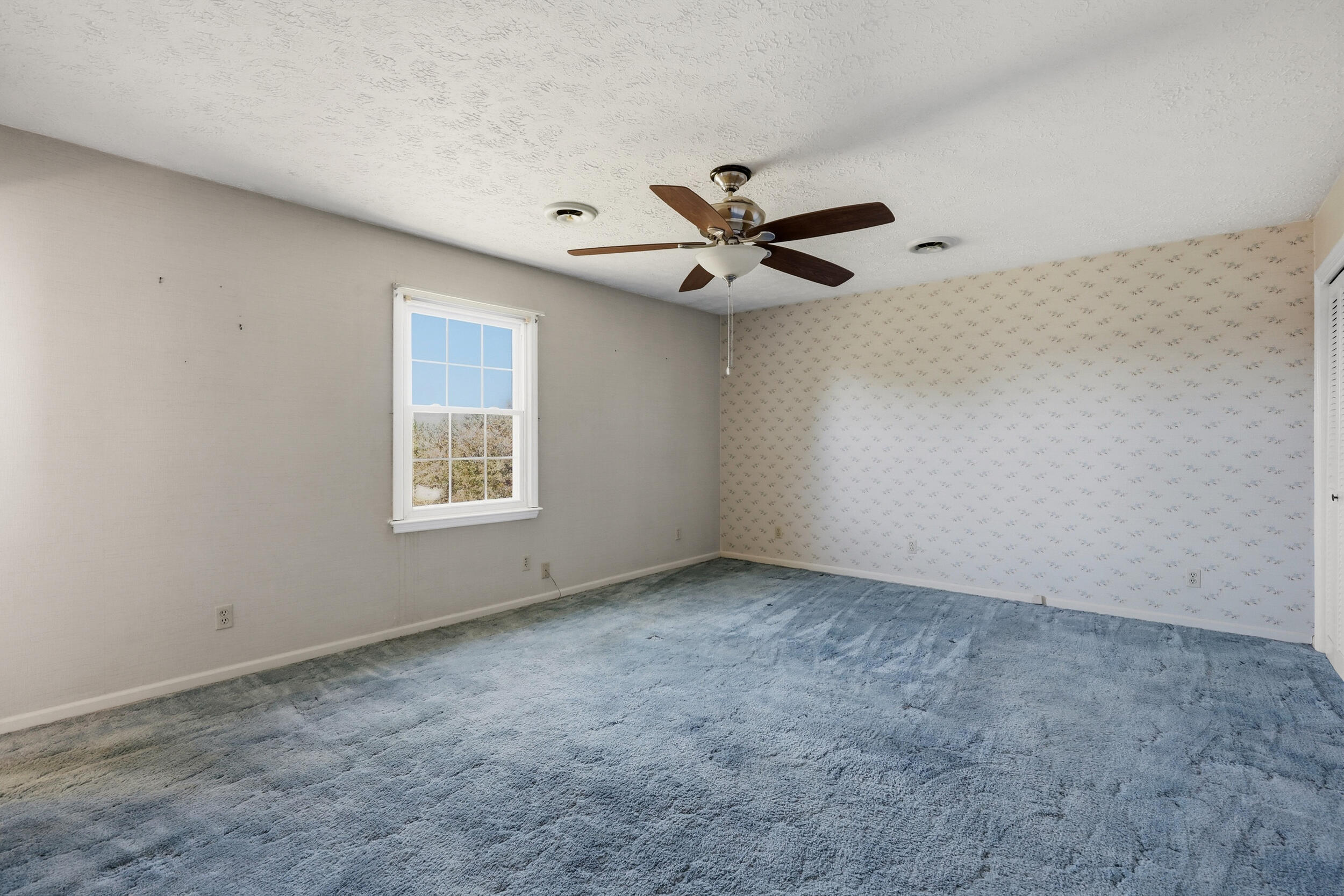 109 Dogwood Court Property Photo 23