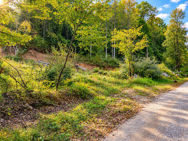 0000 Big Wildcat Road Property Photo 3