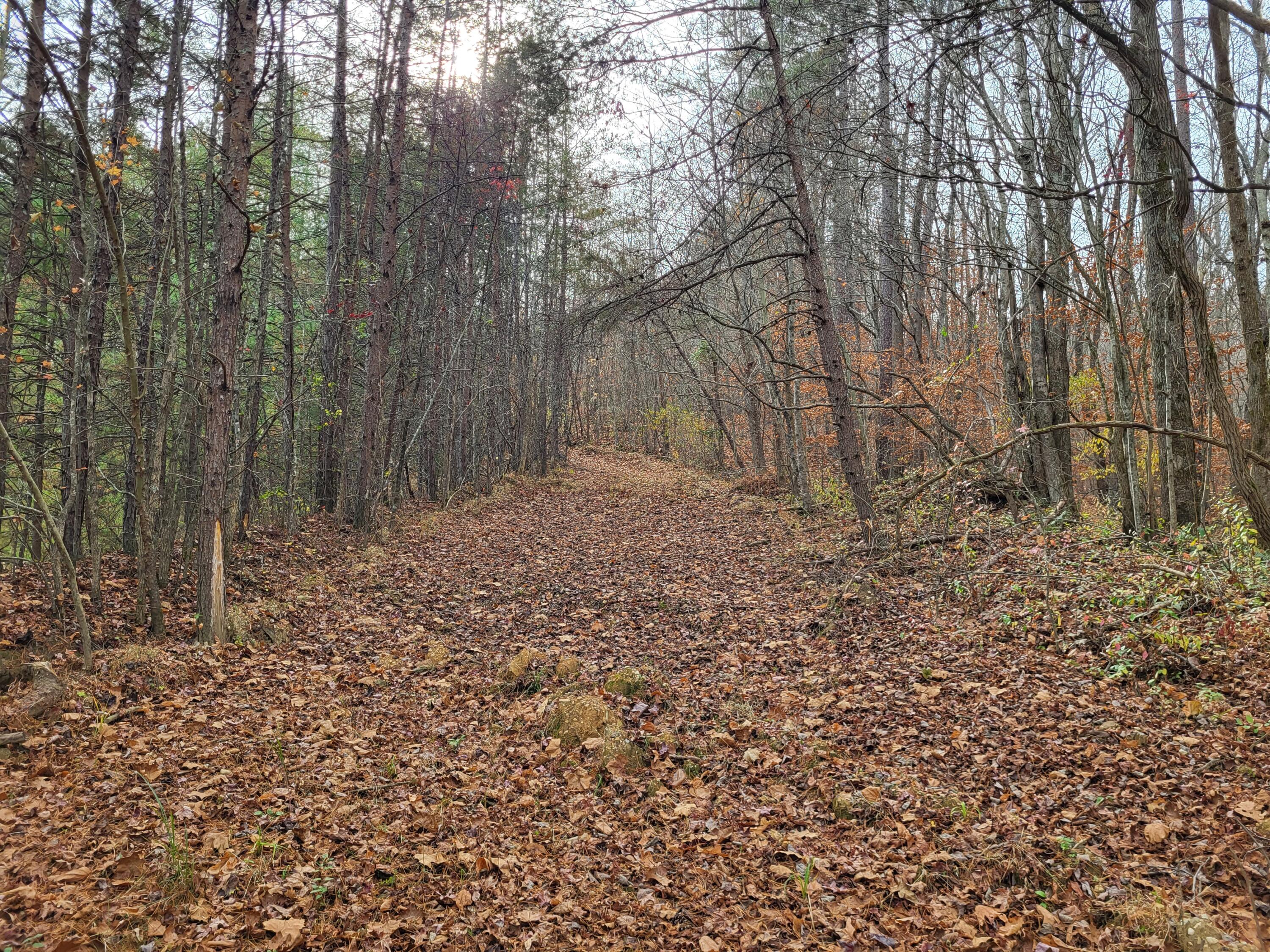 213 Ky-1232 Highway Property Photo 20