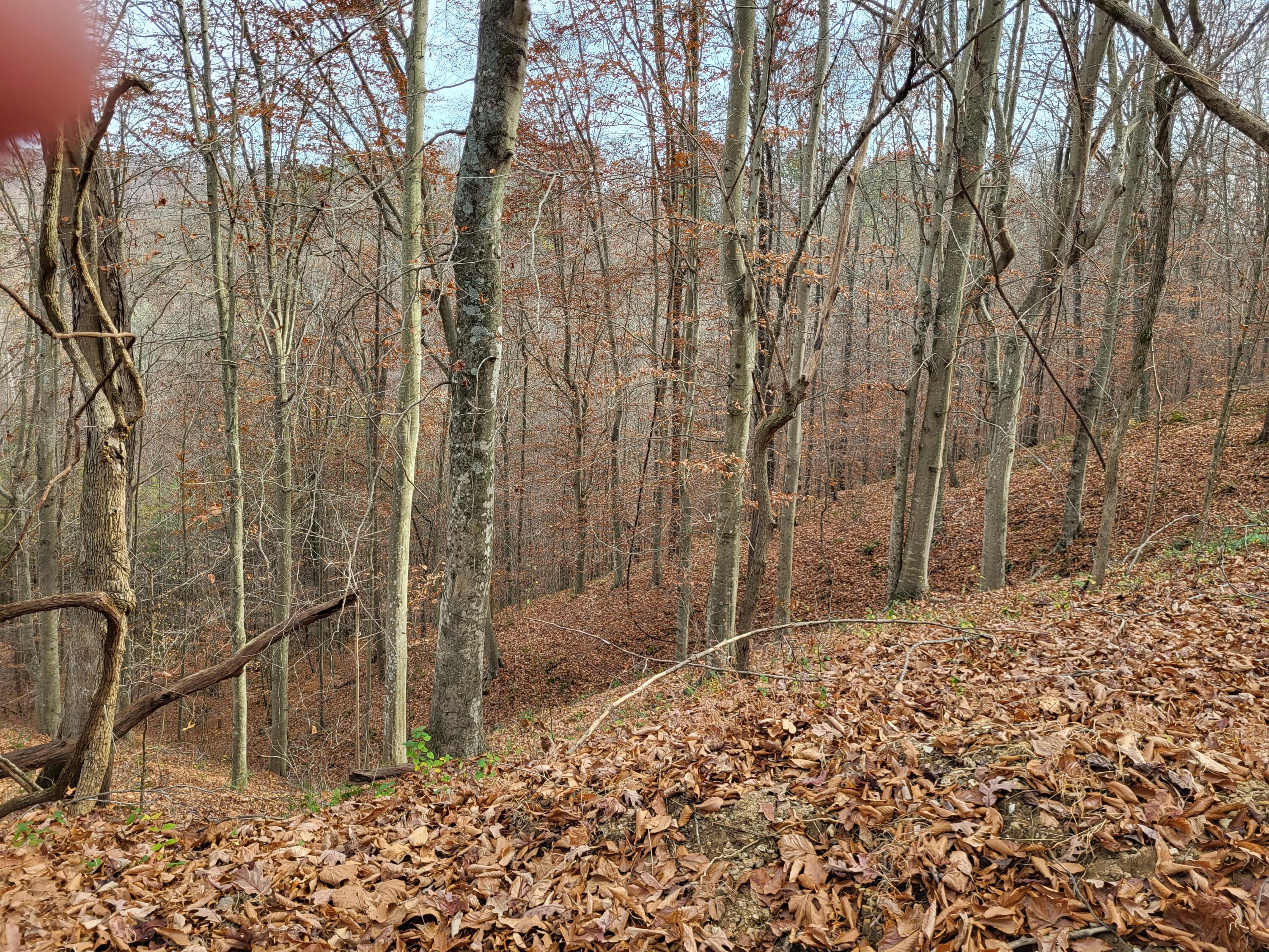 213 Ky-1232 Highway Property Photo 22