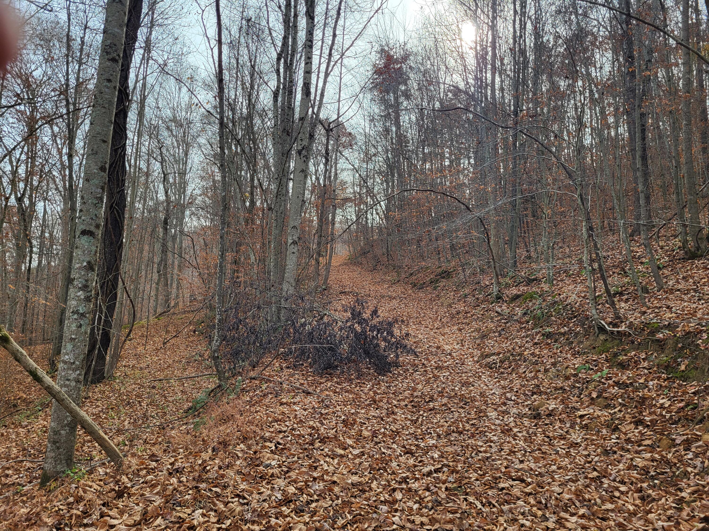 213 Ky-1232 Highway Property Photo 23