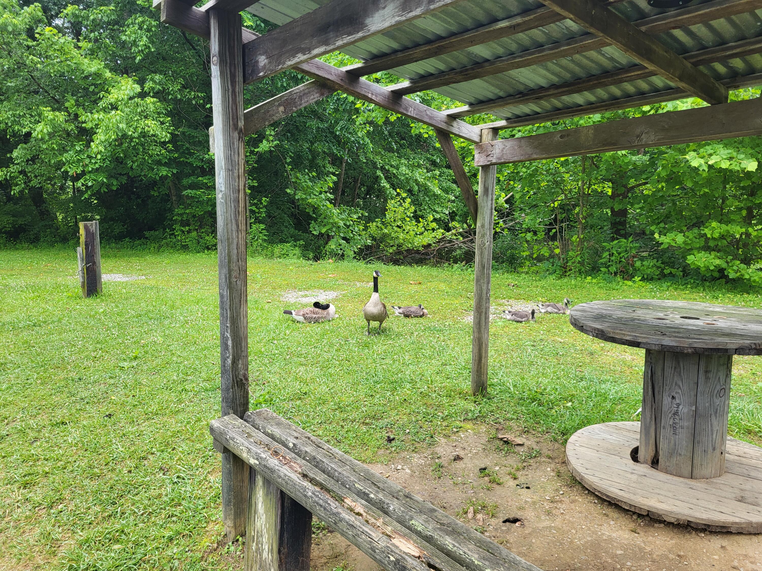 213 Ky-1232 Highway Property Photo 38
