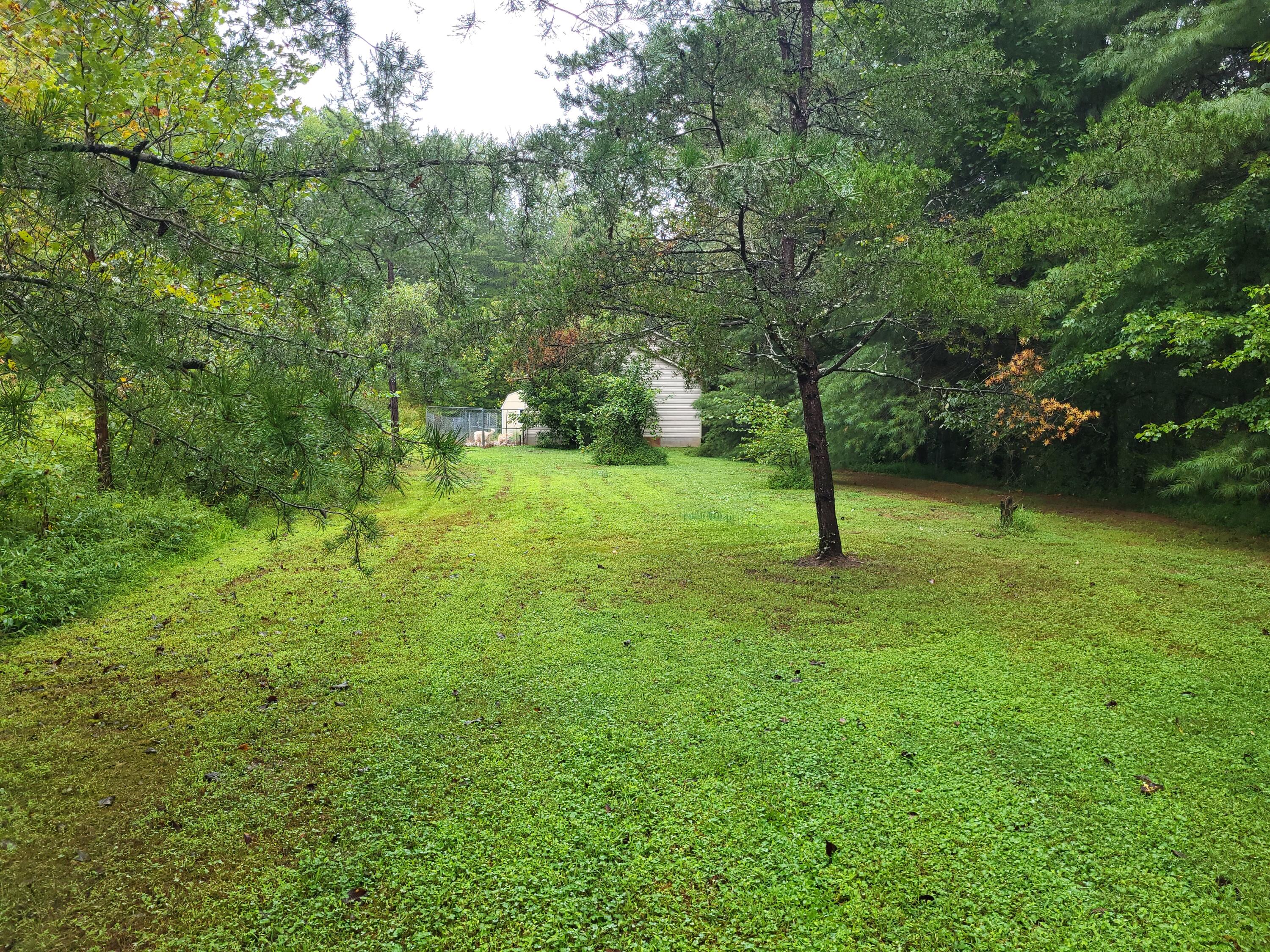 213 Ky-1232 Highway Property Photo 58