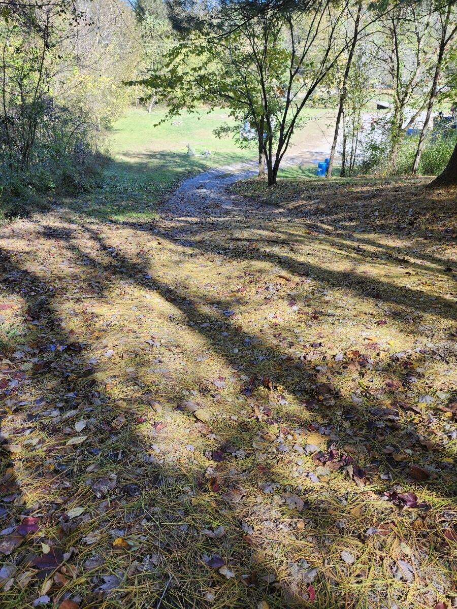 213 Ky-1232 Highway Property Photo 84