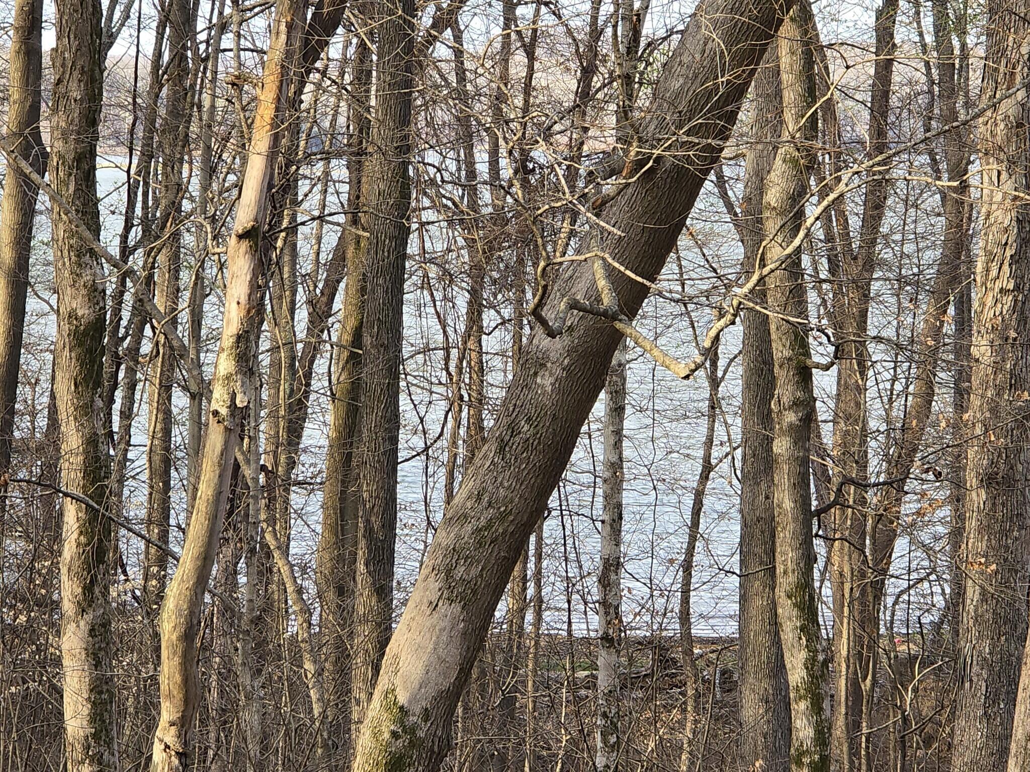 Lot 33 C -1 Rockcastle Shores Property Photo 2
