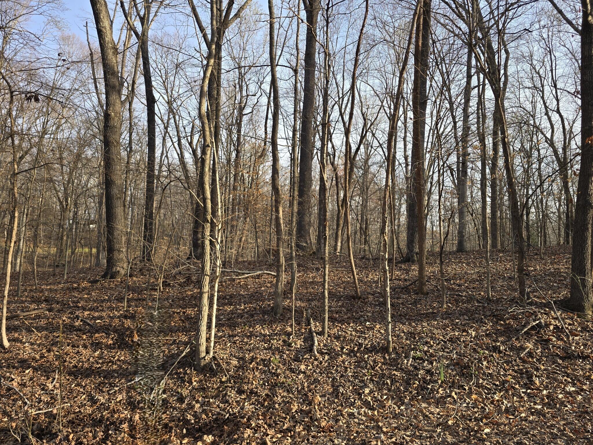 Lot 33 C -1 Rockcastle Shores Property Photo 3